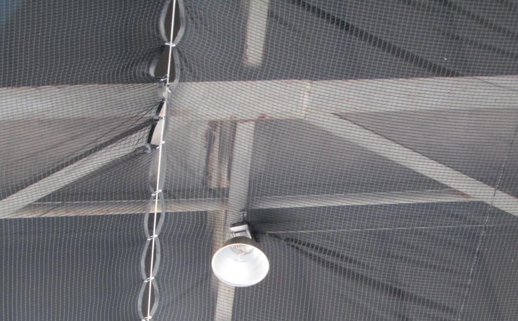 Netting Cropped